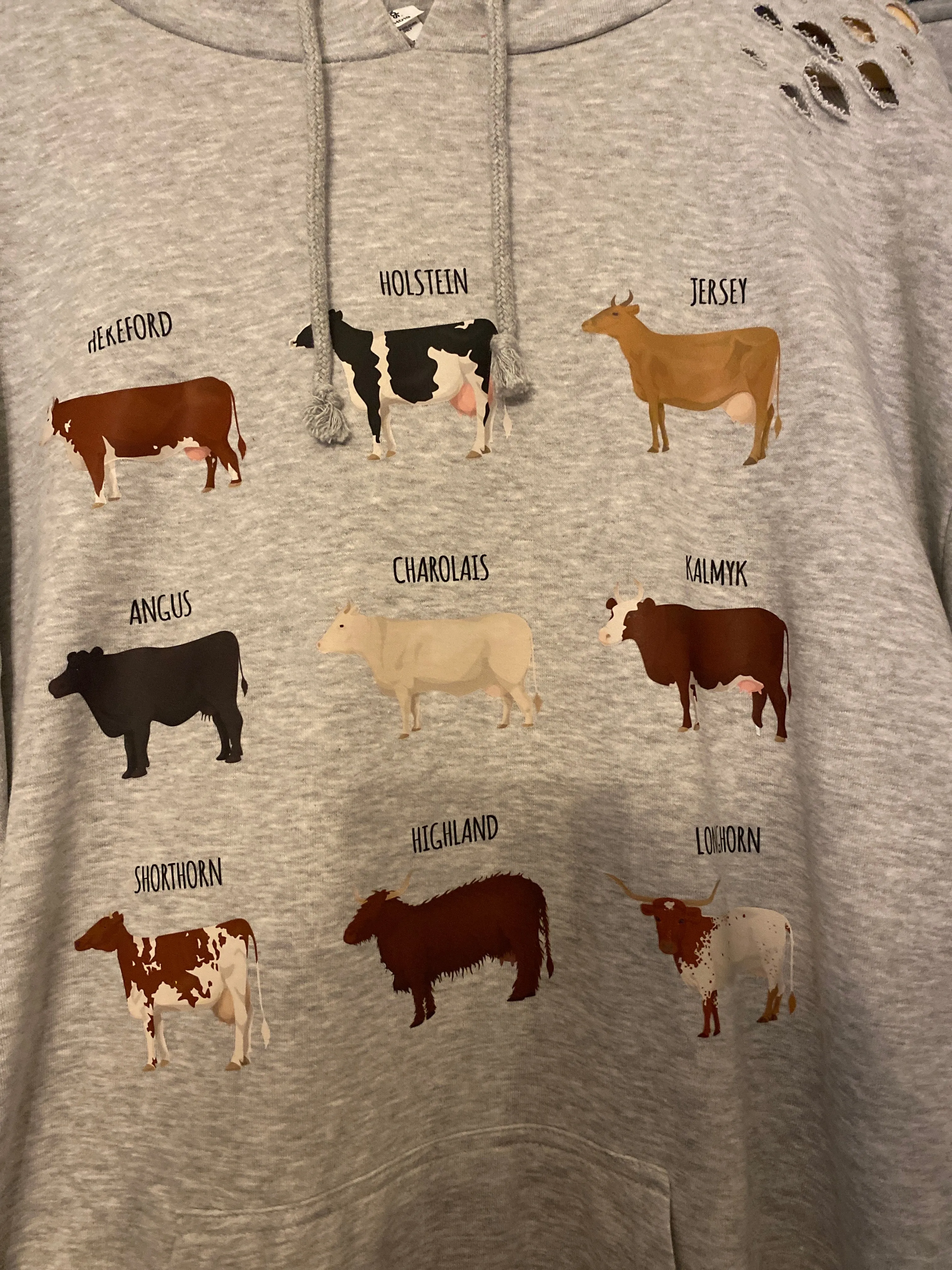 Distressed Adult Pale Grey  Hoodie with Cow & highland cow Designs