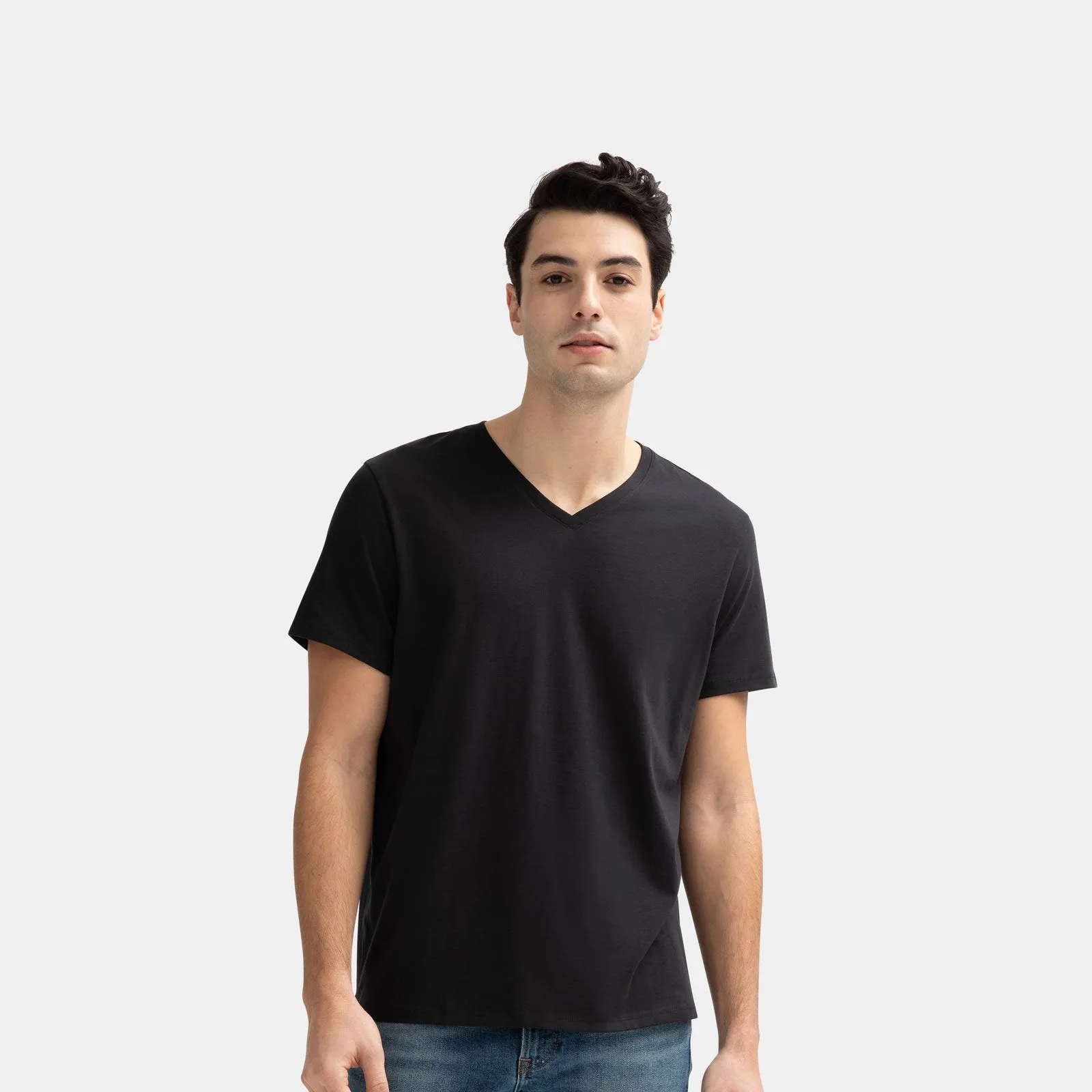 Men's Pima Cotton V-Neck T-Shirt 6-Pack